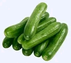 خيار بلدي صغير